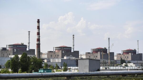 Power units of the Zaporozhye nuclear power plant in Energodar. - Sputnik Africa