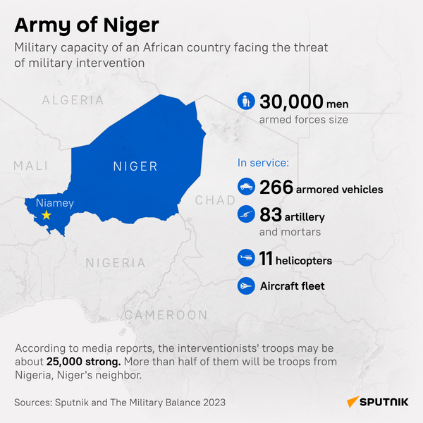 Army of Niger - Sputnik Africa