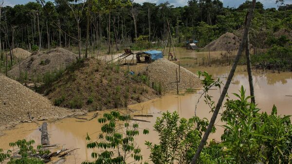 In this photo, an illegal gold miner works using a rustic hydraulic mining machine, known locally as a Traca, in Boca Colorado, Madre de Dios province, Peru - Sputnik Africa
