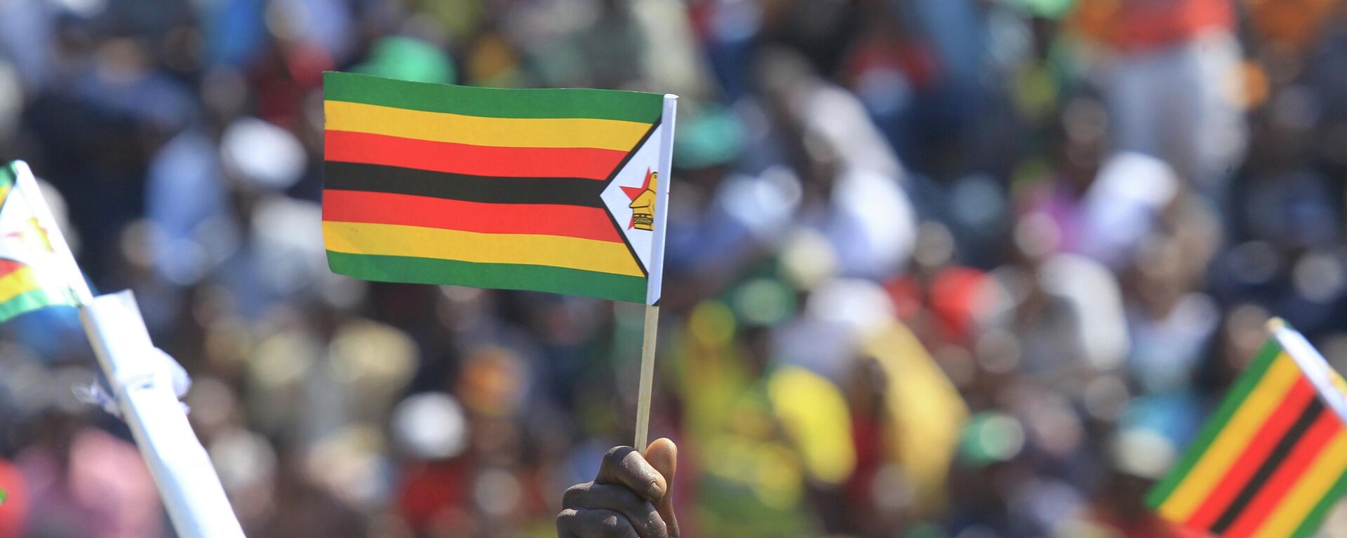 A supporter of Zimbabwean President Emmerson Mnangagwa waves a national flag, during a Heroes' Day event to commemorate the lives of those who died in the southern African country's 1970s war against white minority rule, in Harare, Monday, Aug. 13, 2018. - Sputnik Africa, 1920, 20.03.2024