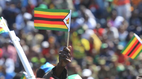 A supporter of Zimbabwean President Emmerson Mnangagwa waves a national flag, during a Heroes' Day event to commemorate the lives of those who died in the southern African country's 1970s war against white minority rule, in Harare, Monday, Aug. 13, 2018. - Sputnik Afrique