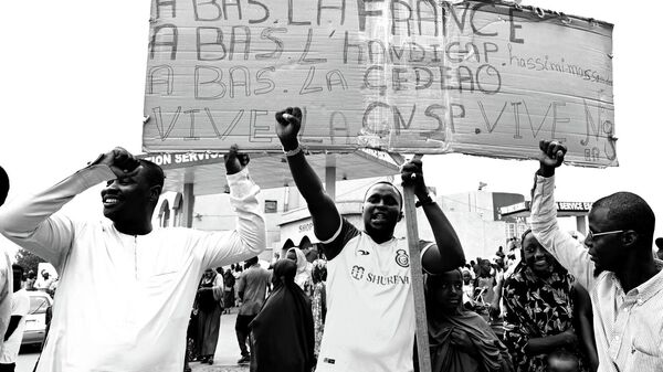 Niger: «La CEDEAO est devenue un outil économique qui garde la mainmise sur le franc CFA» - Sputnik Afrique