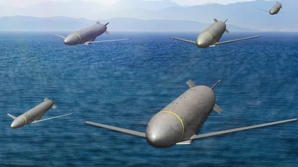Lockheed's Swarm Missiles - Sputnik Africa