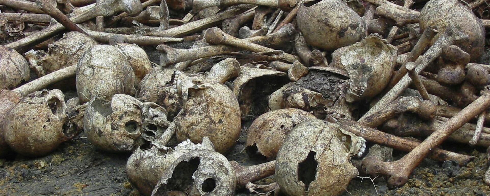file photo of  bones and skulls are seen in Kpolokpai, Liberia. The remains of hundreds of people killed 15 years ago near a Liberian village are being reburied in a mass grave with a ceremony marking the massacre.  Kpolokpai massacre, one of many chapters in Liberia's civil war that killed an estimated 250,000 people between 1989 and 2003 - Sputnik Africa, 1920, 18.08.2023
