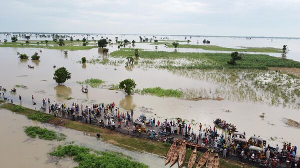 People walk through floodwaters near flooded farmlands after heavy rainfall in Hadeja, Nigeria, Sept 19, 2022. - Sputnik Africa