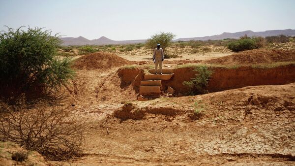 Somalia faces immense challenges from climate change - Sputnik Africa