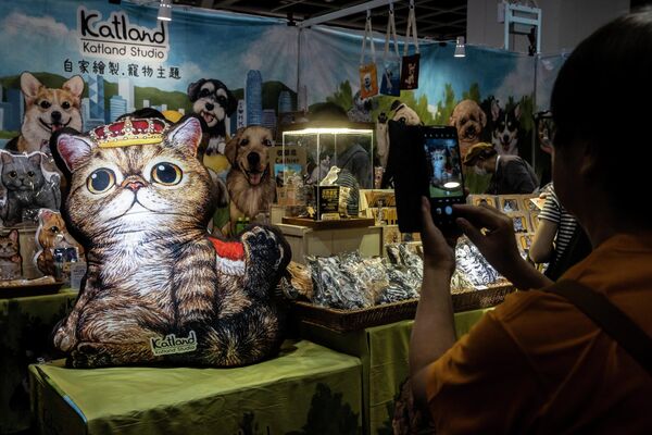 People attend a cat expo at the Hong Kong Convention and Exhibition Centre in Hong Kong on August 25, 2023.  - Sputnik Africa