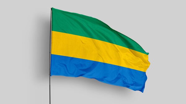 Gabon flag - Sputnik Africa