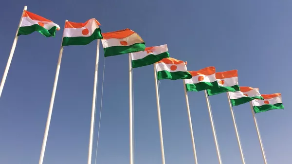 Niger - Sputnik Afrique