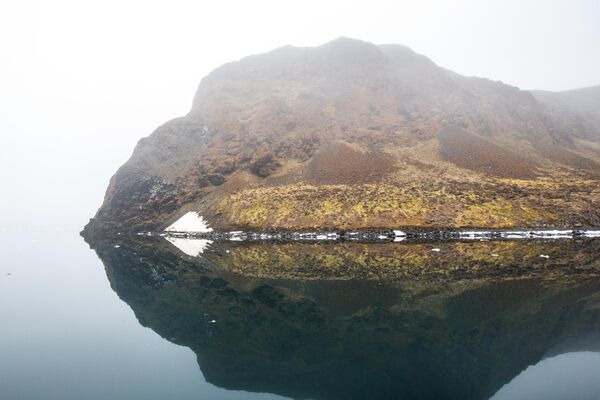 Brosh Island in the Franz Josef Land archipelago. - Sputnik Africa