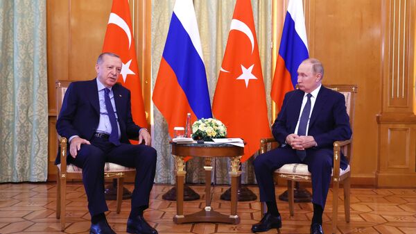 Russian President Vladimir Putin and his Turkish counterpart, Recep Tayyip Erdogan meet in Sochi, Russia on Friday August 5, 2022. - Sputnik Africa