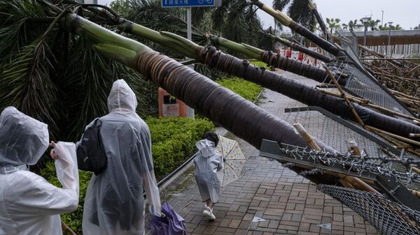 People make their way past fallen trees in the aftermath of Typhoon Saola in Tseung Kwan O in Hong Kong on September 2, 2023. Typhoon Saola swept across southern China on September 2 after tearing down trees and smashing windows in Hong Kong, although the megacity avoided a feared direct hit from one of the region's strongest storms in decades. - Sputnik Africa