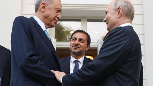 
Russian President V. Putin held talks with Turkish President R. T. Erdogan - Sputnik Africa