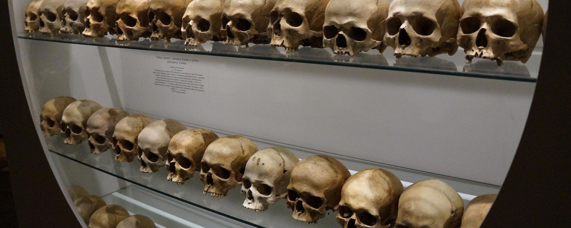 Human skulls on display - Sputnik Africa, 1920, 06.09.2023