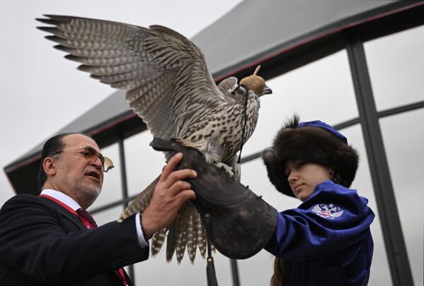 A participant at the House of Falcon pavilion at the Far East Street exhibition at the Eastern Economic Forum in Vladivostok. - Sputnik Africa