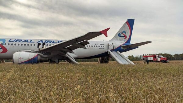 A passenger plane made an emergency landing in the Novosibirsk region - Sputnik Africa