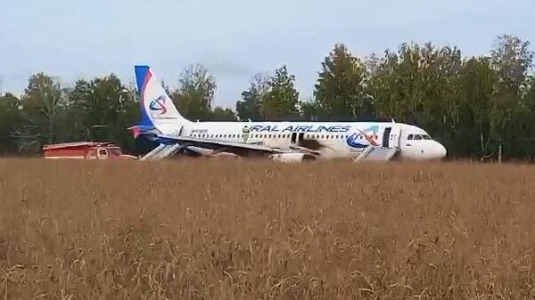 Un Airbus A320 de la compagnie russe Ouralskie Avialinii a dû effectuer un atterrissage d'urgence dans un pré en Sibérie - Sputnik Afrique
