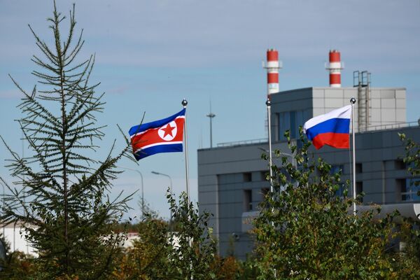 Russian and North Korean flags at the Vostochny Spaceport. - Sputnik Africa