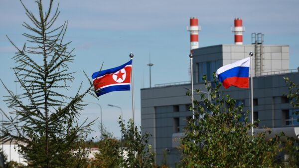 Russian and North Korean flags at the Vostochny Spaceport site - Sputnik Africa