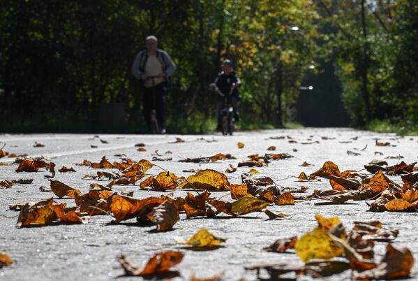 People having a rest on the territory of the Kuskovo estate in Moscow. - Sputnik Africa