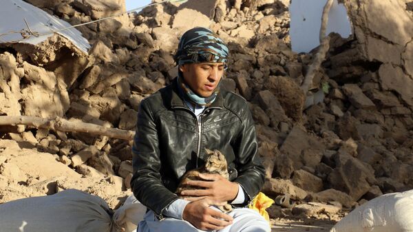 An Afghan boy holds his cat sitting in the yard of his destroyed house after an earthquake in Zenda Jan district in Herat province, Afghanistan - Sputnik Africa