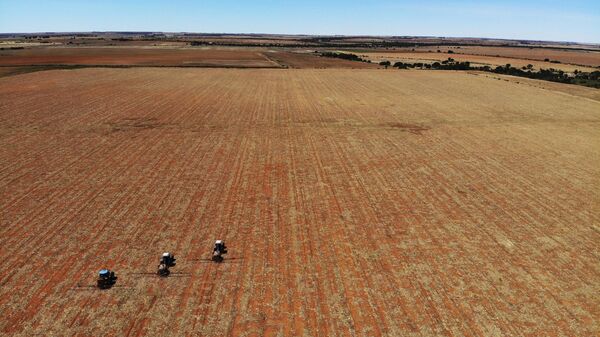Farm employees spread fertilizer on a farm in Gerdau, North West province, South Africa, Nov. 19, 2018. - Sputnik Africa