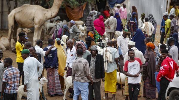 Livestock traders are seen showing off their wares at a market in the Dadaab refugee camp, Kenya Friday, July 14, 2023. - Sputnik Africa