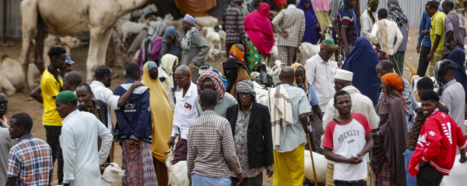 Livestock traders are seen showing off their wares at a market in the Dadaab refugee camp, Kenya Friday, July 14, 2023. - Sputnik Africa, 1920, 21.10.2023