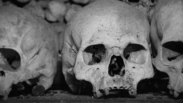 Skulls in detail at Kutná Hora - Sputnik Africa