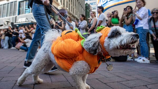 People and their dogs participate in a Doggone Halloween celebration in Boston, Massachusetts, on October 28, 2023 ahead of the Halloween holiday. - Sputnik Africa