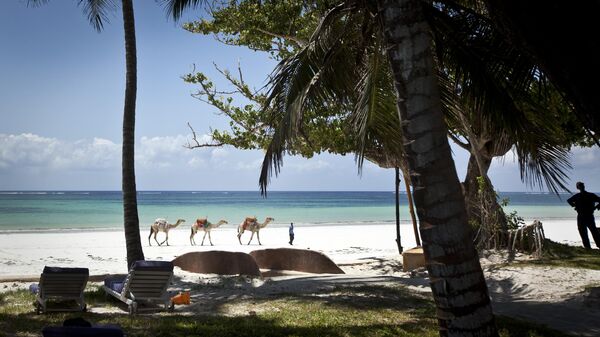 In this photo taken Wednesday, March 28, 2012, a man offering camel rides for tourists leads his animals along the Indian Ocean beach of Diani, a popular tourist destination on the coast of Kenya.  - Sputnik Afrique