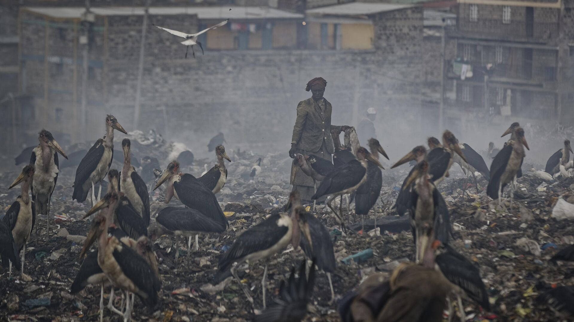 A woman who scavenges recyclable materials from garbage for a living is seen through a cloud of smoke from burning trash, surrounded by Marabou storks who feed on the garbage, at the dump in the Dandora slum of Nairobi, Kenya on Dec. 5, 2018. - Sputnik Africa, 1920, 04.11.2023