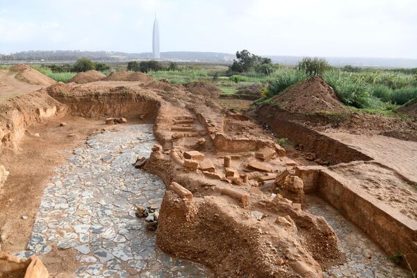 This picture shows a partial view of the recently unearthed archaeological ruins in the Chellah necropolis near Rabat, on November 3, 2023. - Sputnik Africa