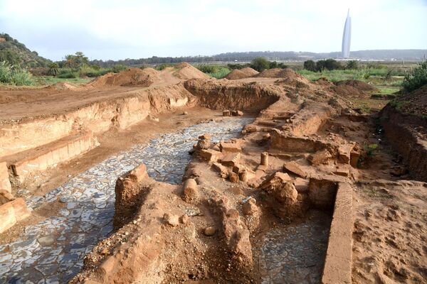 This picture shows a partial view of the recently unearthed archaeological ruins in the Chellah necropolis near Rabat, on November 3, 2023.  - Sputnik Africa