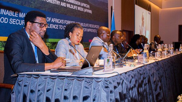 The 24th Session of the African Forestry and Wildlife Commission (AFWC24) in Tanzania, October 30 -November 3. - Sputnik Africa