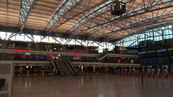 Hamburg Airport Terminal in Germany - Sputnik Africa