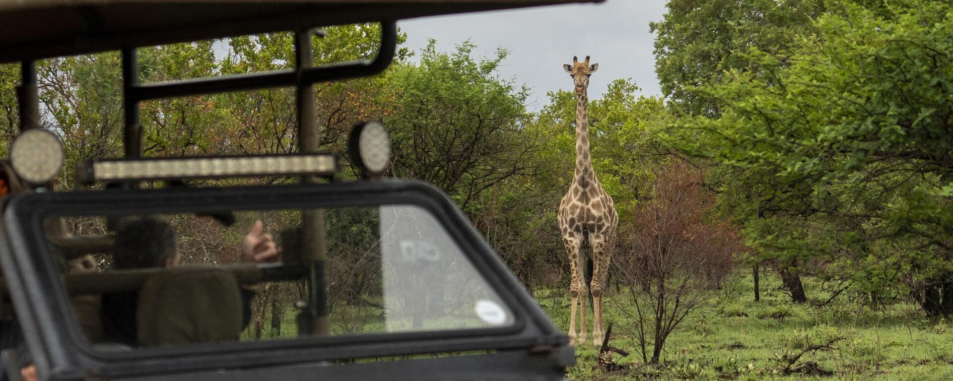 Tebogo Masiu, and Smagele Twala are greeted by a giraffe during a game drive in the Dinokeng game reserve near Hammanskraal, South Africa Sunday Dec. 5, 2021 - Sputnik Africa, 1920, 05.11.2023
