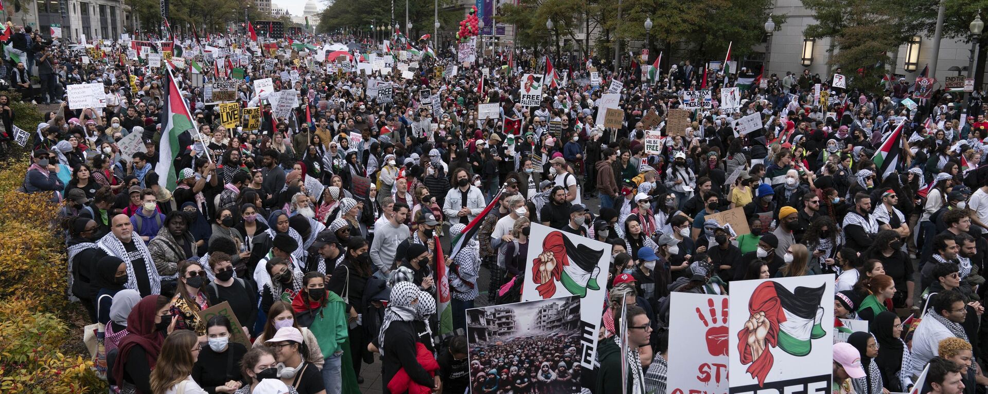 Rally in the United States in support of Palestine - Sputnik Africa, 1920, 10.11.2023