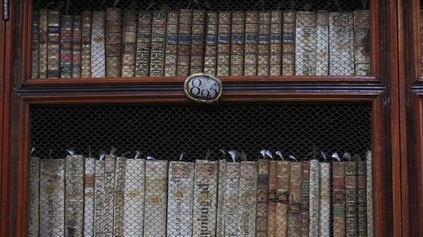 Books stand in the Palafoxiana library, the oldest public library in the Americas, in Puebla, Mexico - Sputnik Africa