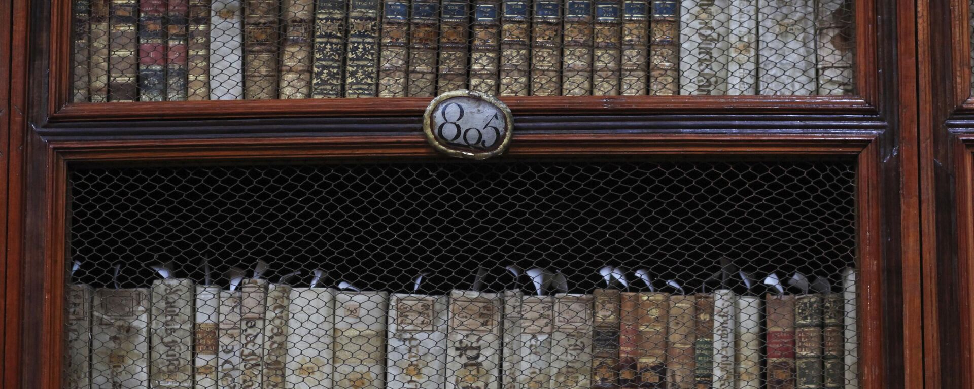 Books stand in the Palafoxiana library, the oldest public library in the Americas, in Puebla, Mexico - Sputnik Africa, 1920, 16.11.2023