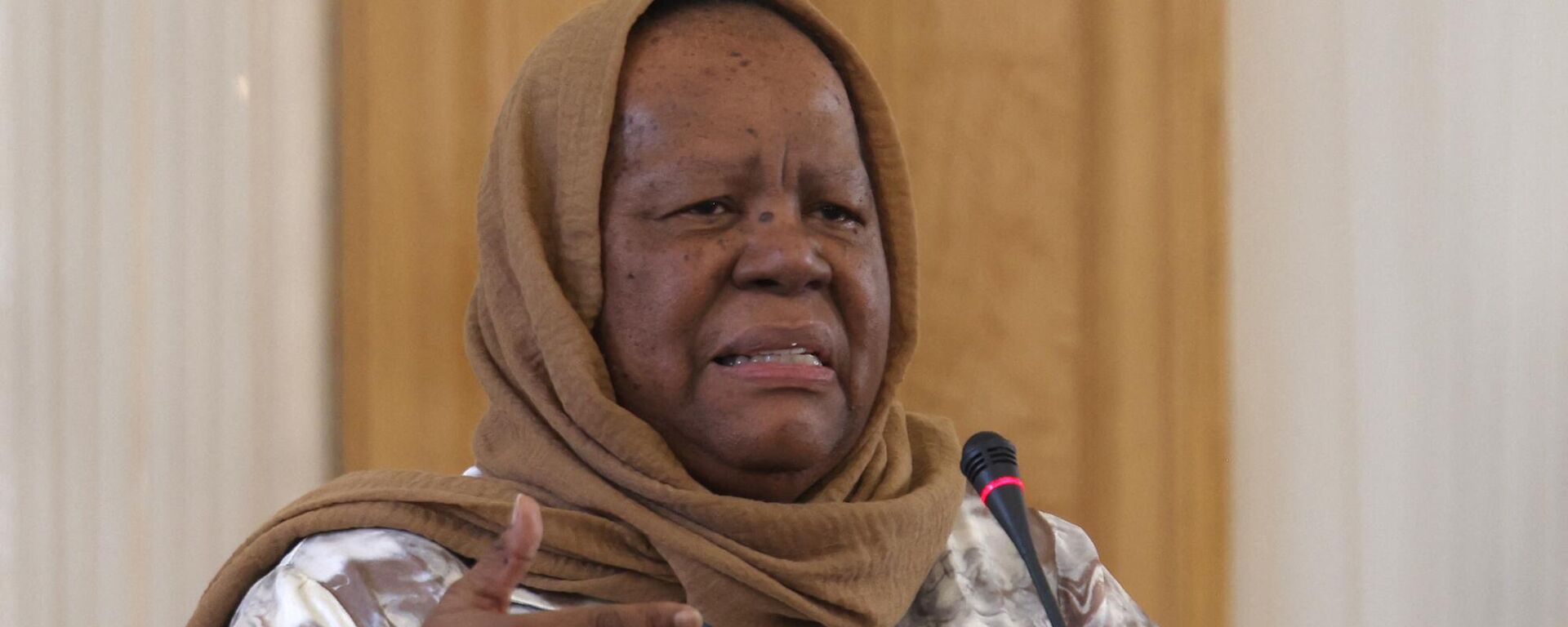 South Africa's Foreign Minister Naledi Pandor speaks during a press conference with her Iranian counterpart in Tehran on October 22, 2023. - Sputnik Africa, 1920, 21.11.2023