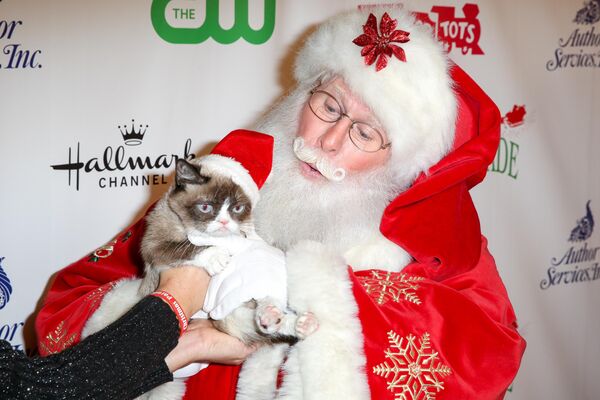 Grumpy Cat arrives at the 84th Annual Hollywood Christmas Parade on Sunday, Nov. 29, 2015, in Los Angeles. - Sputnik Africa