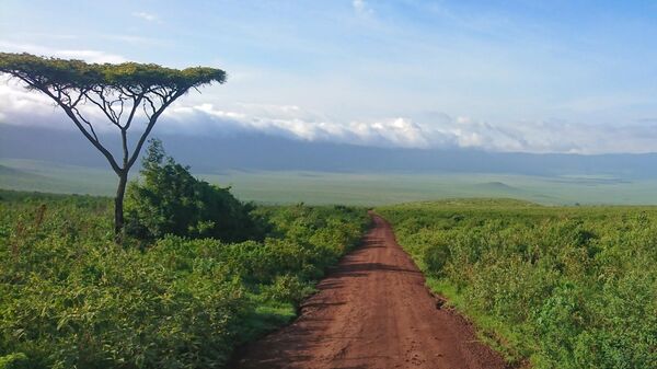 La Tanzanie s'apprête à produire du niobium