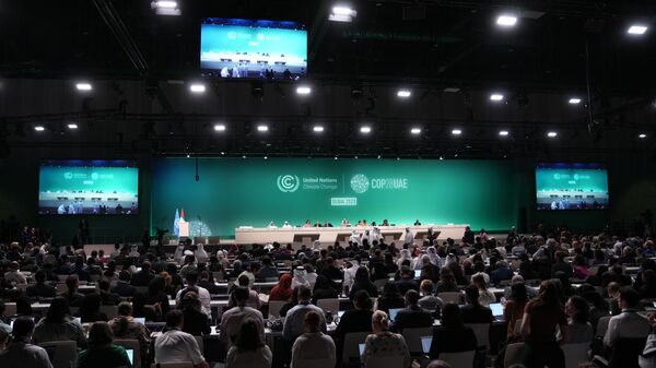 COP28 President Sultan al-Jaber attends a plenary session at the COP28 UN Climate Summit - Sputnik Africa