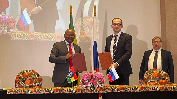The meeting of the Co-Chairs of the Intergovernmental Russian-Ethiopian Commission on Economic, Scientific, Technical and Trade Cooperation - Sputnik Africa