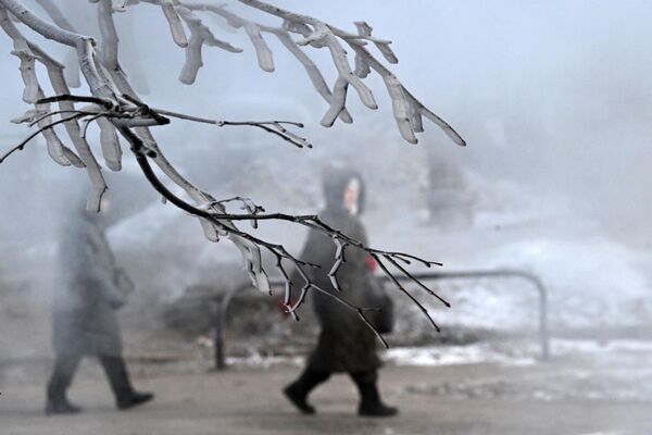 Pedestrians on a frosty day on the street in Moscow. - Sputnik Africa