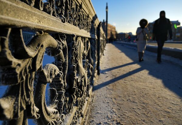 Frost on the fence of the Annunciation Bridge in frosty weather in St. Petersburg. - Sputnik Africa