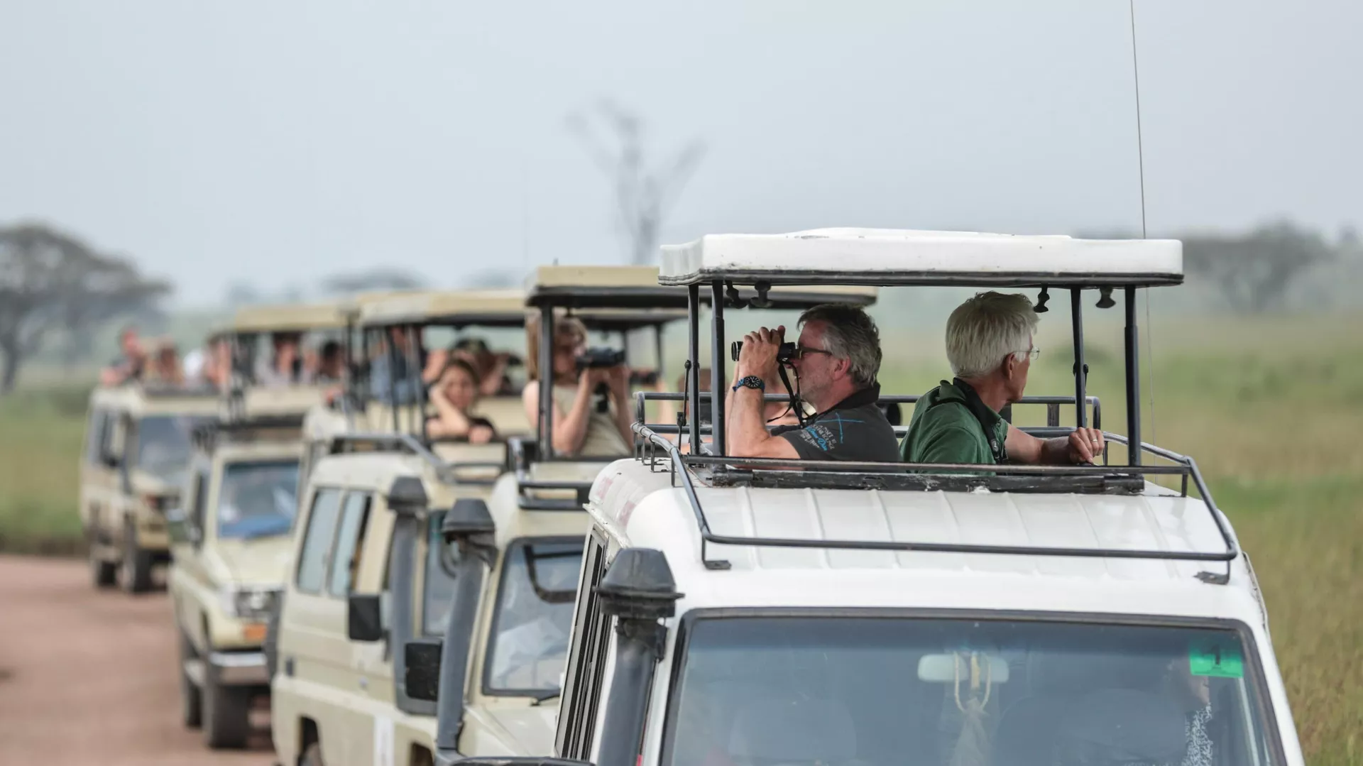 In this photo taken Saturday, Jan. 17, 2015, tourists on safari take photos and observe wildlife in Serengeti National Park, west of Arusha, northern Tanzania.  - Sputnik Africa, 1920, 08.01.2024