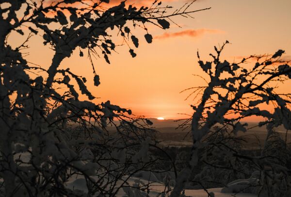 People greet the sun after a polar night in Murmansk. - Sputnik Africa