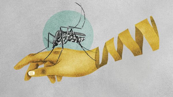 Illustration about malaria and mosquitoes transmitting the disease. - Sputnik Africa